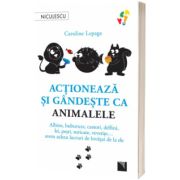 Actioneaza si gandeste ca animalele. Albine, buburuze, castori, delfini, lei, pesti, suricate, veverite... avem atatea lucruri de invatat de la ele