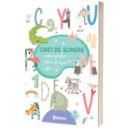 Caiet de scriere. Semne grafice. Litere de tipar. Cifre