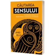 Cautarea Sensului. Chemarea Sinelui si redefinirea Centrului Interior