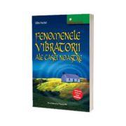 Fenomenele vibratorii ale casei noastre - ghid practic pentru un cămin sănătos