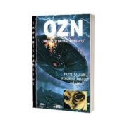 OZN. Lumini misterioase în noapte