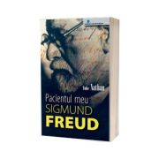 Pacientul meu, Sigmund Freud (roman)