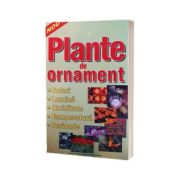 Plante de ornament