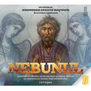 Nebunul - audiobook