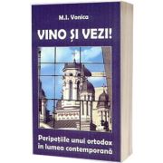 Vino si vezi!. Peripetiile unui ortodox in lumea contemporana