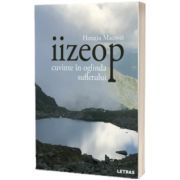 iizeop - cuvinte in oglinda sufletului