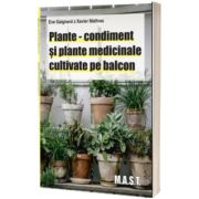 Plante-condiment si plante medicinale cultivate pe balcon