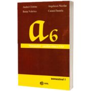Mateamtica. Auxiliar clasa a VI-a. Semestrul I