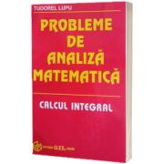Probleme de analiza matematica. Calcul integral
