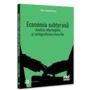 Economia subterana: analiza informatiilor si cartografierea riscurilor
