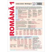 Pliant limba romana. Morfologie 1