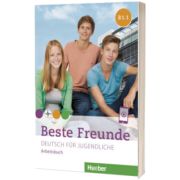 Beste Freunde B1. Paket Arbeitsbuch B1.1 und B1.2