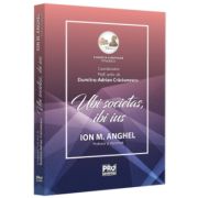 Ion M. Anghel - profesor si diplomat
