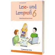 Lese- und Lernprofi 6 Schulerarbeitsheft silbierte Ausgabe Leseheft