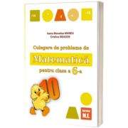 Culegere de probleme de matematica pentru clasa a 6-a (puisorul)