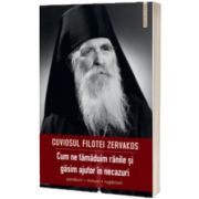 Cum ne tamaduim ranile si gasim ajutor in necazuri. Povatuiri, minuni, rugaciuni