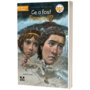 Ce a fost Pompeii?