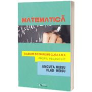 Matematica. Culegere de probleme. Clasa XI. Profil pedagogic