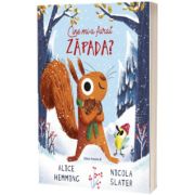 Cine mi-a furat zapada?