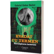 Evadat cu termen. Rascumpararea hackerului