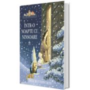 Intr-o noapte cu ninsoare