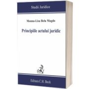 Principiile actului juridic