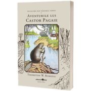 Aventurile lui Castor Pagaie