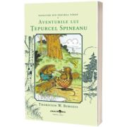 Aventurile lui Tepurcel Spineanu