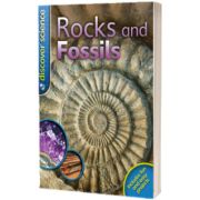 Rocks and Fossils