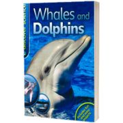 Whales and dolphins