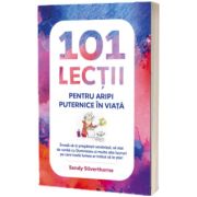 101 lectii pentru aripi puternice in viata