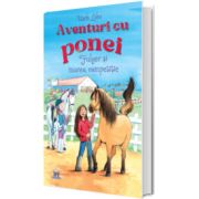 Aventuri cu ponei