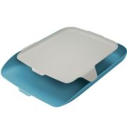 Tavita documente Cosy, PS, A4, cu organizator, albastru celest