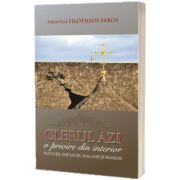 Clerul azi. O privire din interior