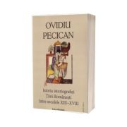 Istoria istoriografiei Tarii Romanesti intre secolele XIII - XVIII