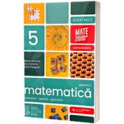 Matematica. Aritmetica, algebra, geometrie. Clasa a 5-a, partea I. Consolidare (2026-2027)