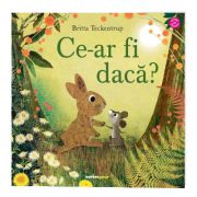 Ce-ar fi daca?
