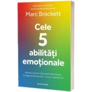 Cele 5 abilitati emotionale