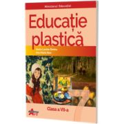 Educatie plastica pentru clasa a VII - a