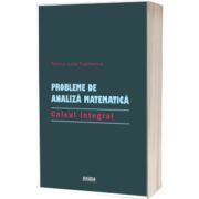 Probleme de analiza matematica