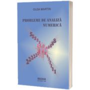 Probleme de analiza numerica