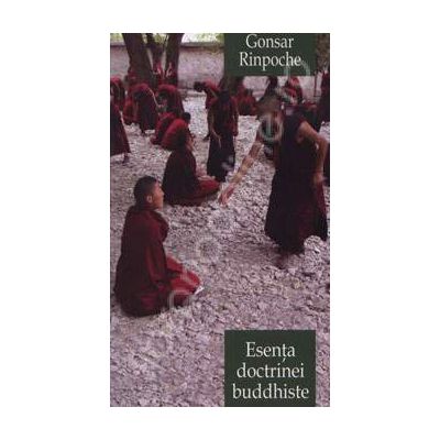 Esenta doctrinei buddhiste. Calea spre trezie