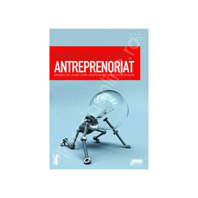 Antreprenoriat. Drumul de la idei catre oportunitati si succes in afaceri