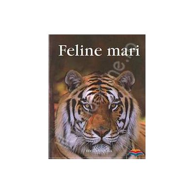 Feline mari