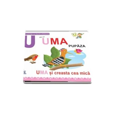 U de la Uma pupaza. Uma si creasta cea mica