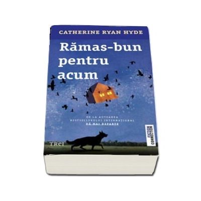 Catherine Ryan Hyde, Ramas bun pentru acum