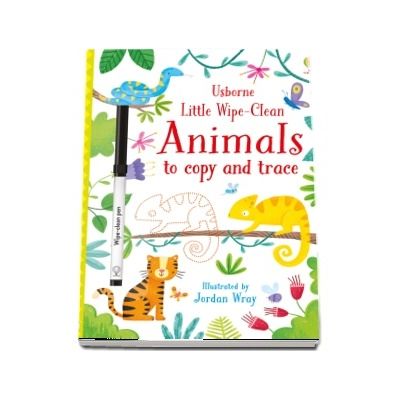 Little wipe-clean animals to copy and trace
