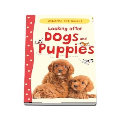 Looking after dogs and puppies