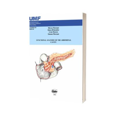 Functional anatomy of abdominal cavity