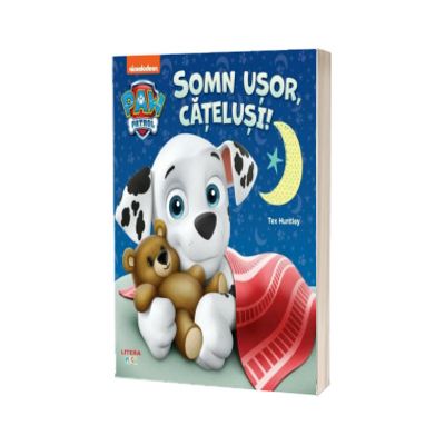 Patrula Catelusilor. Somn usor, catelusi!
